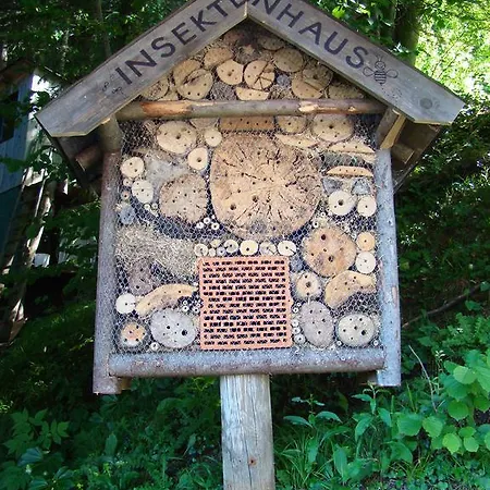 Bed & Breakfast Landhaus Teufl Faistenau