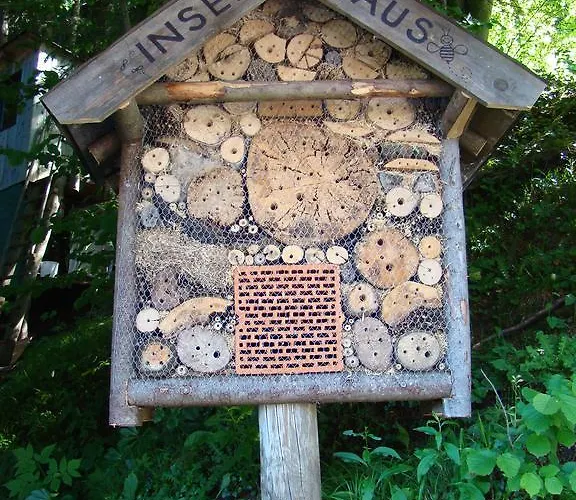 Bed & Breakfast Landhaus Teufl Faistenau